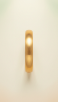 Brushed Gold Bangle Bracelet Adjustable